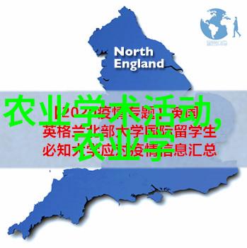 评估公司对树木价格评估标准我是如何一步步审视它们的方法的