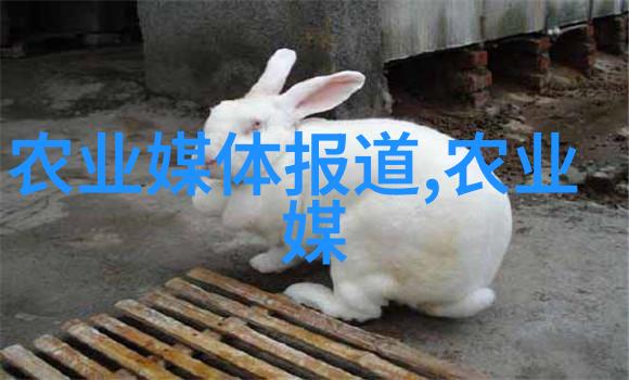 蜜蜂最怕的三样东西蜂巢破坏毒性化学品气候变化
