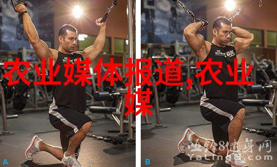 傻乎乎我是如何学英语的