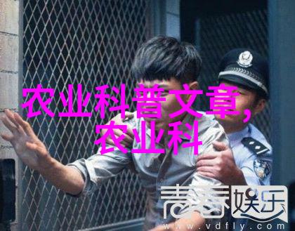主题-我的书香角落360图书馆个人图书馆的魅力与实用性
