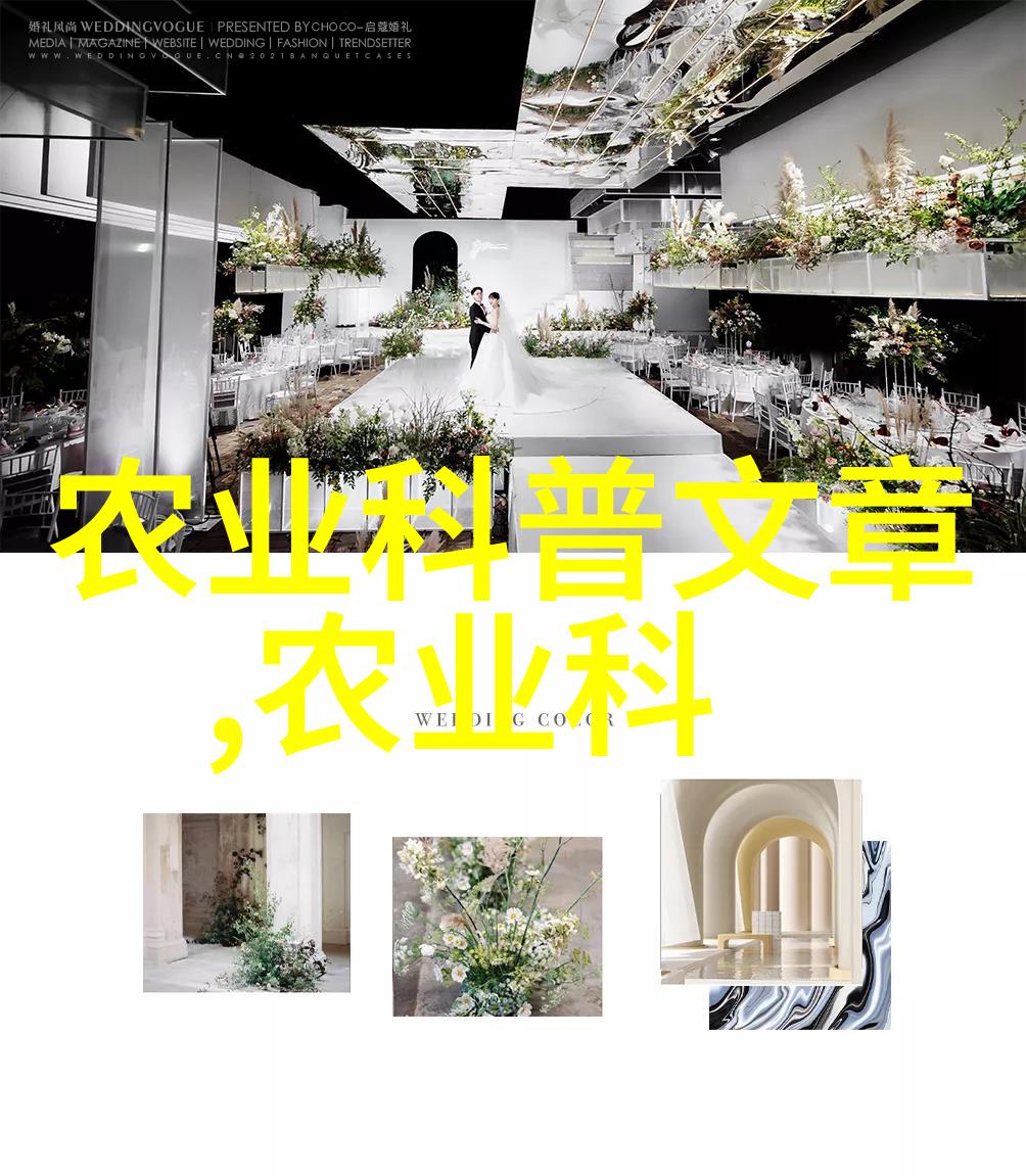 农业专家-耕耘智慧农业专家的创新之路