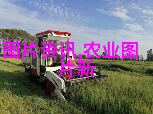 水培蔬菜大棚真实现状我家的绿色宝库一亩田的奇迹生长