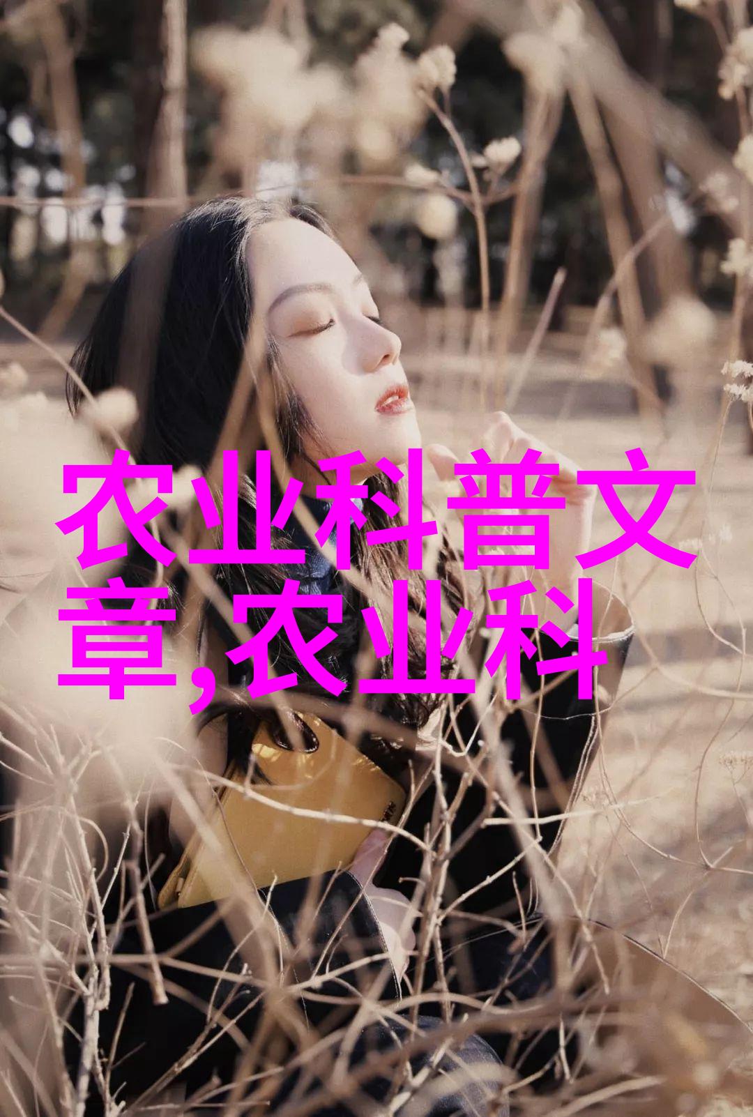 家庭生活中的智能助手家用玉米棒输送机链条的便利与魅力