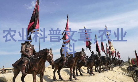 农村养殖的好物羊肉和蜂蜜之选