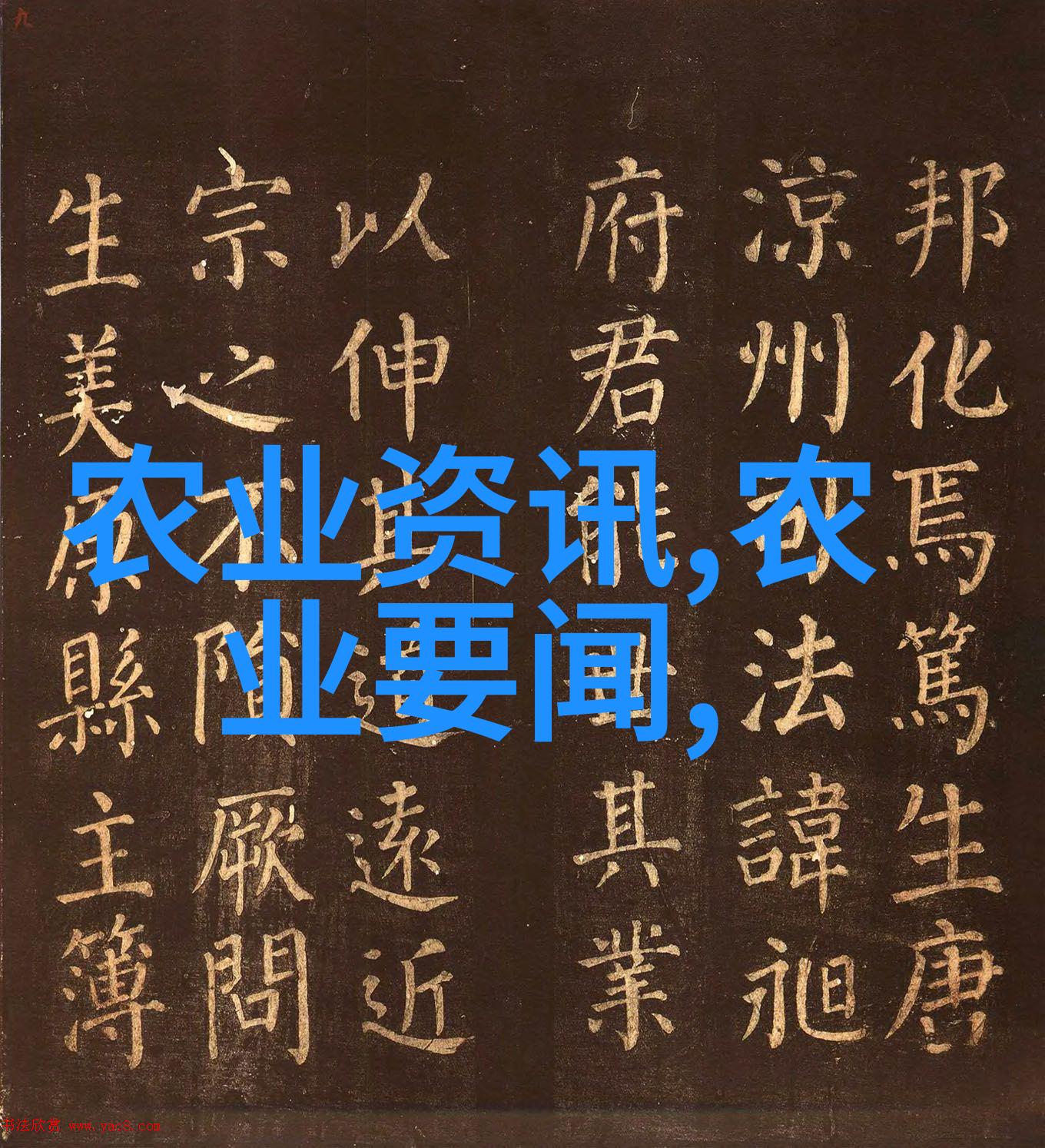 工厂化循环水养鱼骗局我如何被金银河养鱼池的甜言蜜语蒙蔽揭秘那些假大空的高科技养殖