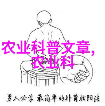 花卉种植-常见花卉种植方法大全从土壤准备到养护技巧