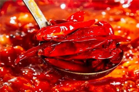 牧场经济效益分析探究养羊业一年收入潜力