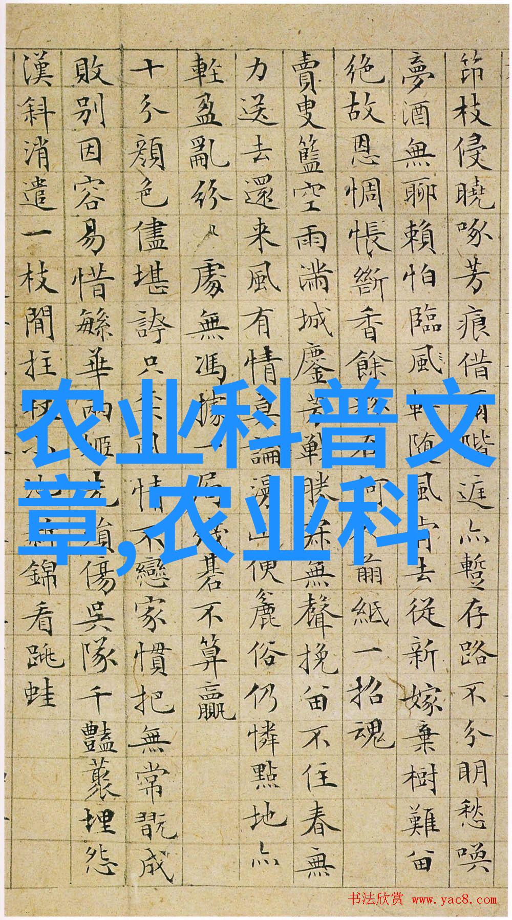 广东药材种植指南选树智慧生态共赢