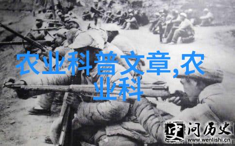 高效益优质蛋白鸡养殖技术现代养殖方法与管理策略