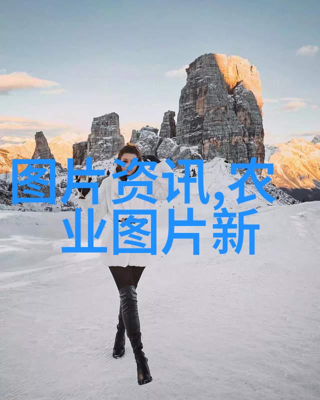 如何在牛的肥育饲养中探索三大奇迹揭秘养羊大棚的建造之谜