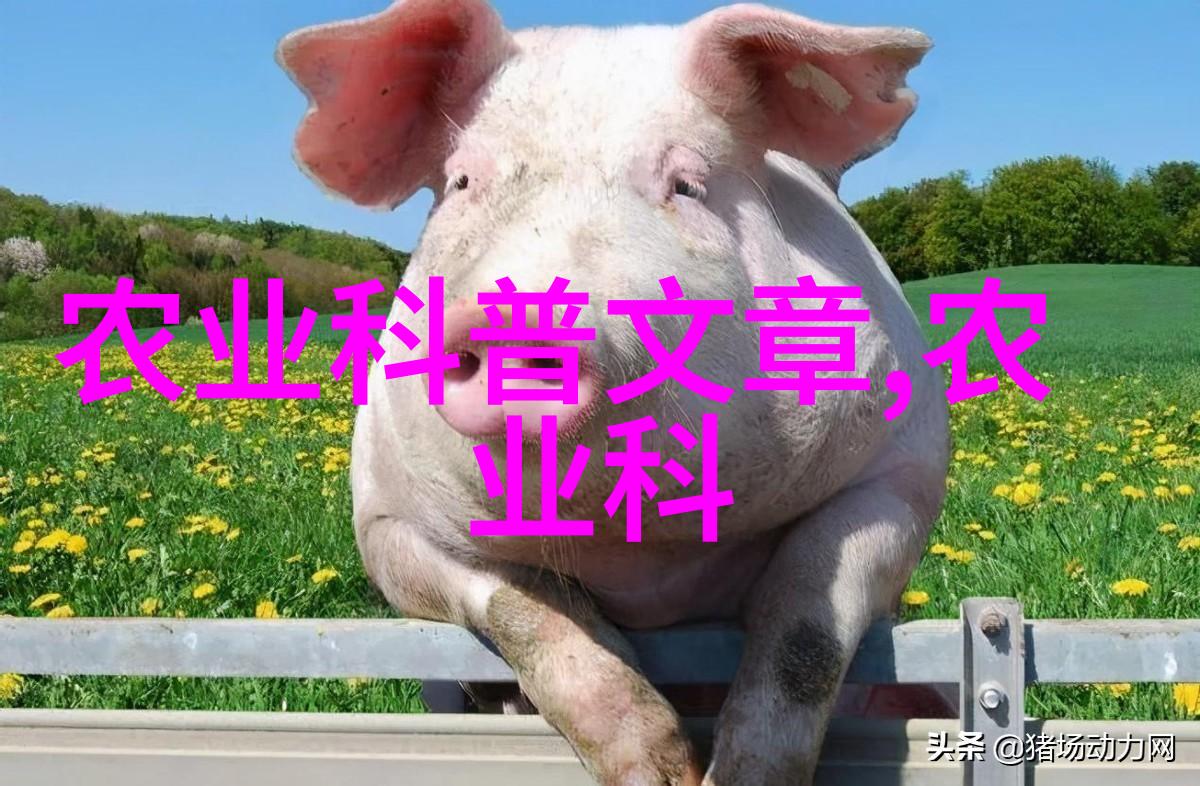 我来告诉你茶的故事从古老的起源到历史长河
