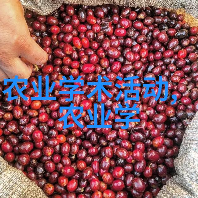 华南理工大学学报 - 探索创新华南理工大学学报的研究成果与未来展望