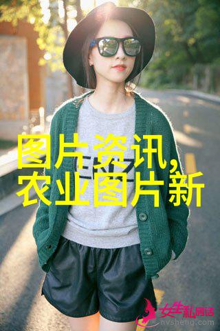 快速成长的秘诀如何提高速段中药材产量