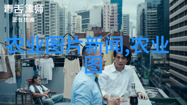 云南花卉批发基地鲜花香气满园的秘密之地