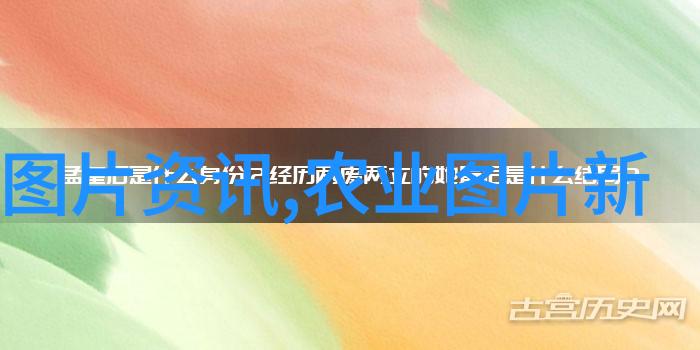 春播重楼选树与种植的最佳时机探究