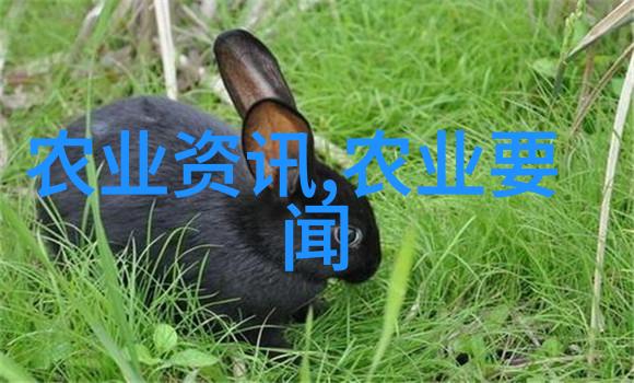 果爆棚看都市土专家如何在博览会上掌握农业学