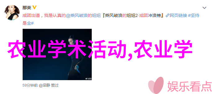 玉米种植技巧从播种到收割的全程指南