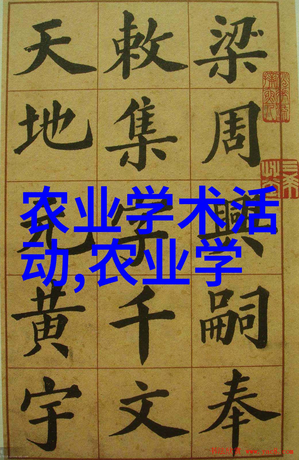 中药材种植新篇章未来十年最具潜力的植物选品