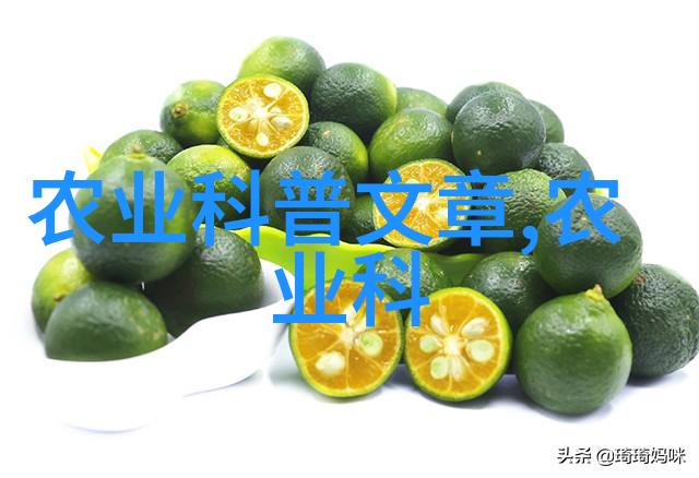 花园艺术与实用技术常见花卉种植方法研究与应用