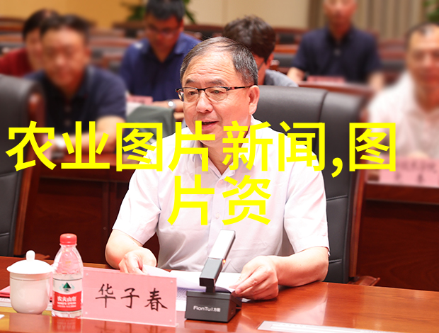 如何在客厅中巧妙布置室内十大吉利花