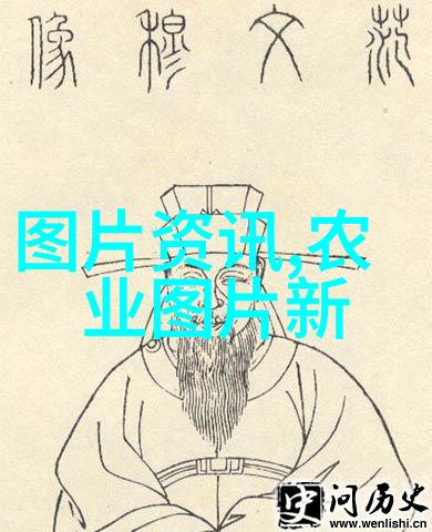 现代农业种植技术-精准农业无人机监测与智能水肥管理现代农业种植技术的新篇章
