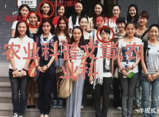 书香满楼心灵之旅御书房自由阅读十八楼的奇遇