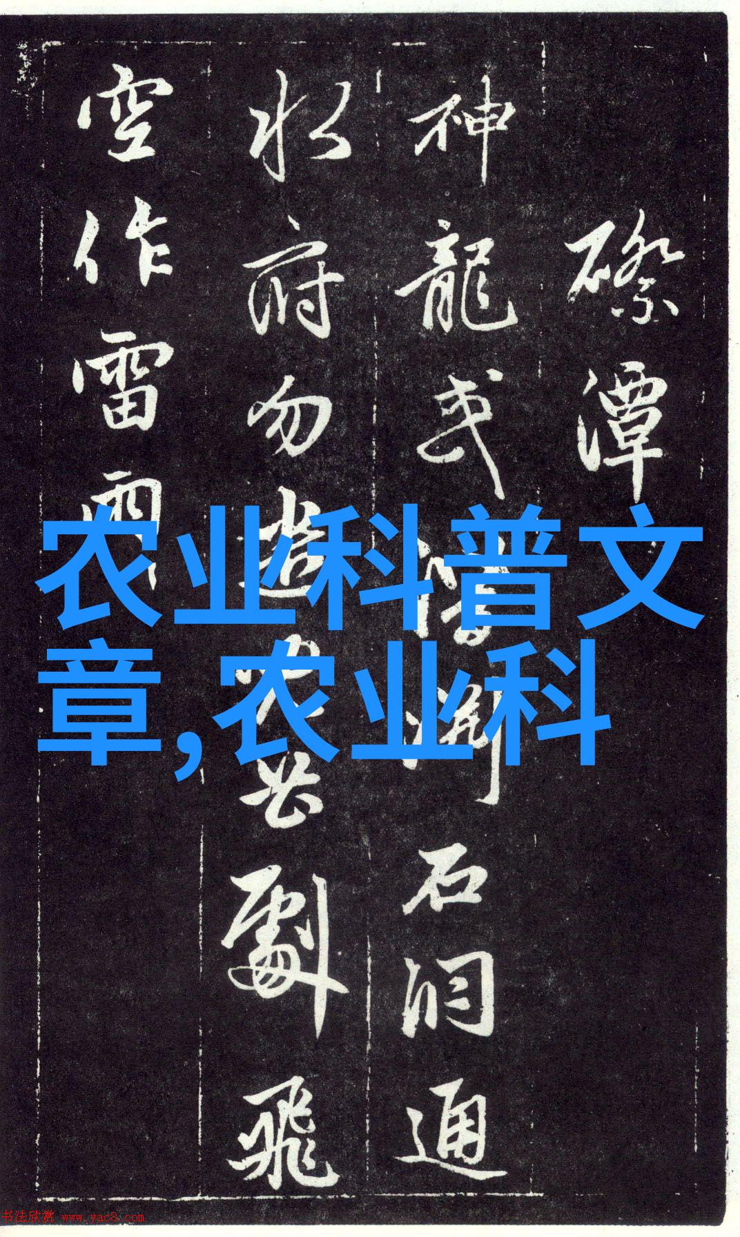 宠物医学教育 - 探索中国顶尖的大专宠物医学课程哪些学校值得信赖