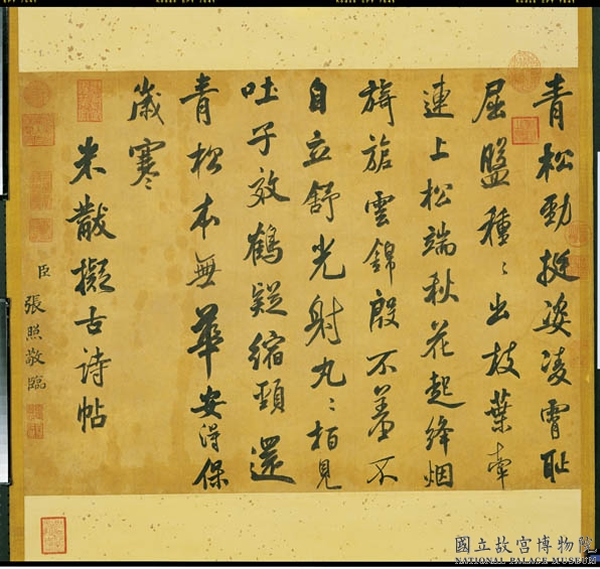 常见中药知识我来教你100种常用中药的秘密