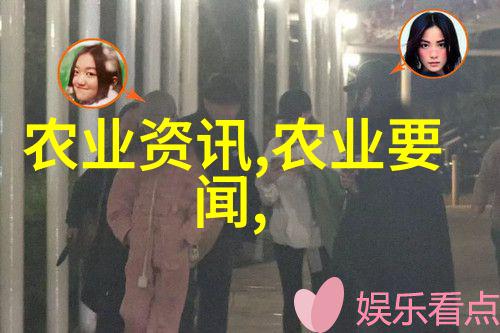 技术创新引领未来智能监控系统在黄鳝养殖中的应用
