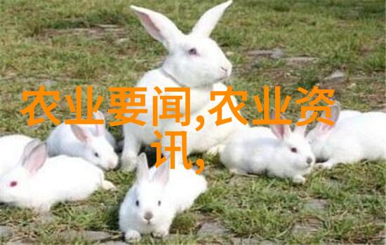 茶的世界从历史到文化品味中药之美