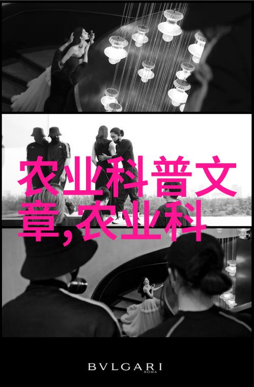 家庭盆景花卉图片大全点缀家园的色彩