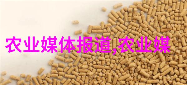 春季养蜂技术视频花前月下守护蜂群的智慧与实践
