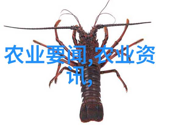 菌类美食探索精选菌类菜谱全解析