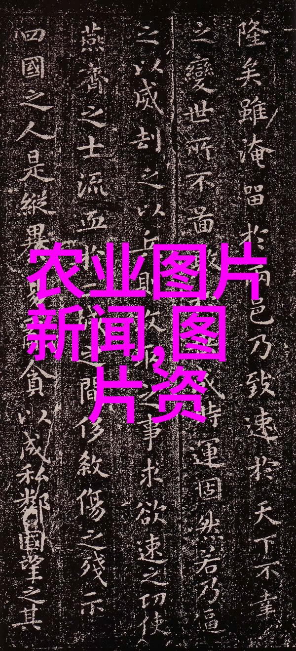 金黄玉米之歌土地的颂唱