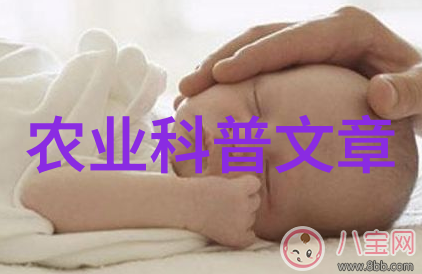 国际粮价高位震荡 专家称对国内CPI影响可控