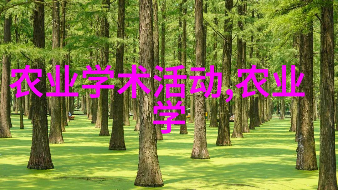 生长周期最佳的喂食和休息计划是什么