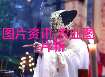 探秘盆栽花卉世界哪些植物最适合室内养护