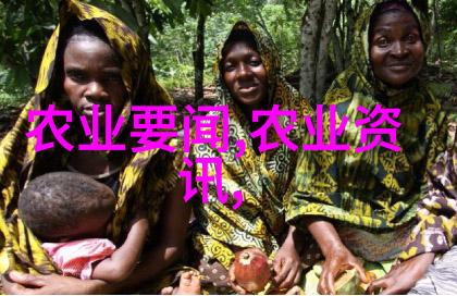 从零到英雄学习识别常见水果的种子形状与颜色
