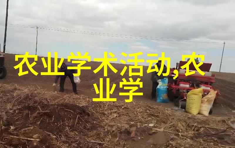 古代农耕智慧种植技艺与农业发展之谜