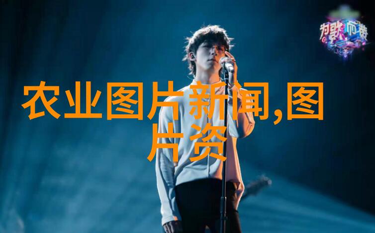 苗木类型有哪些各种树种的分类与特点