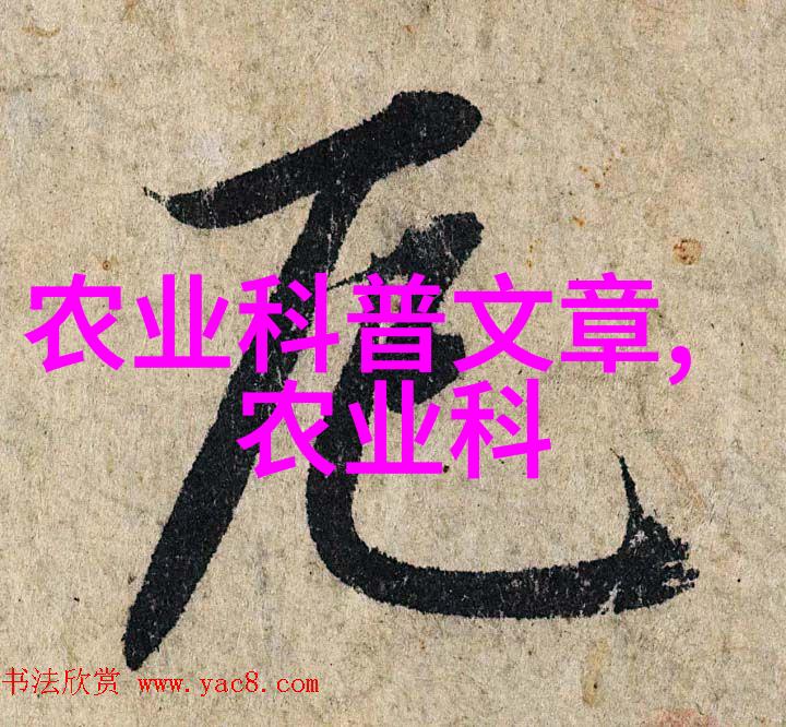 妈妈的职业全景探索家庭与工作平衡
