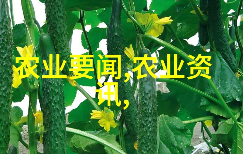 探索菌类的奇迹如何利用微生物功效提升生活质量
