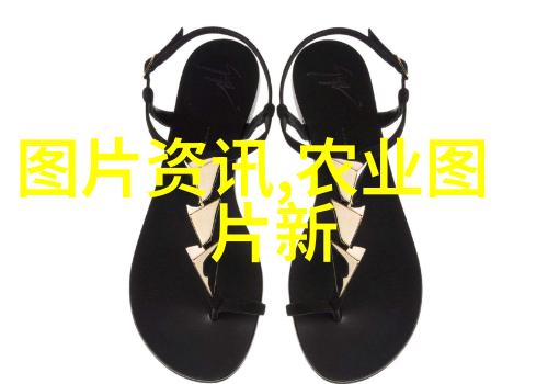 金黄鸡蛋与铁饭碗中国养殖业的繁荣与挑战