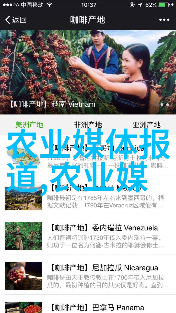 阳台友好的水果选择适合在家外部空间种植的多样水果