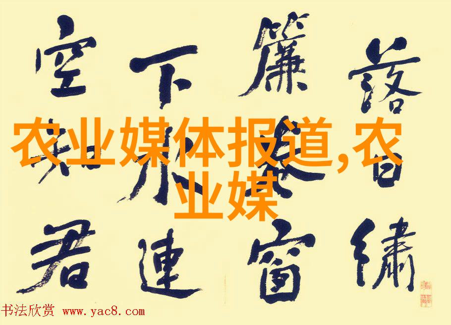创意设计大专学生的艺术梦想与现实挑战