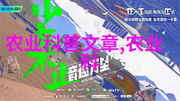 主题我在超市看到的18公分天竺桂价格真的太吸引人了