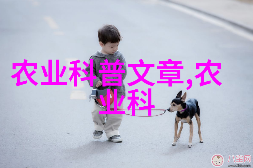 淡水小龙虾养殖技术我来教你如何轻松做个龙虾大亨