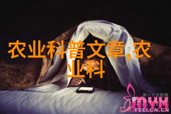 夏日狂想以你为名的无限篇章