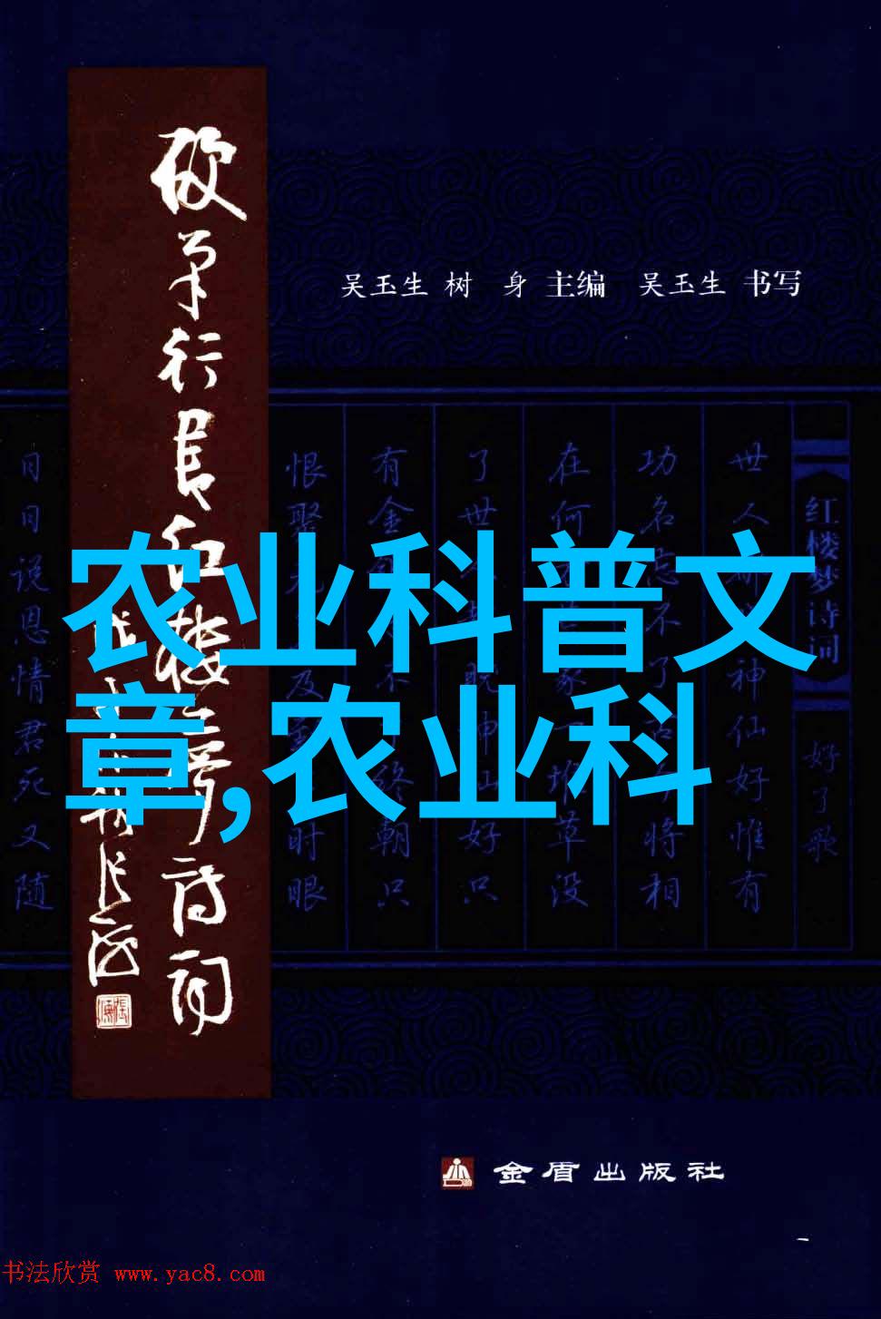 养蜂技术视频全过程从建立蜂箱到收获蜂蜜的完整指南