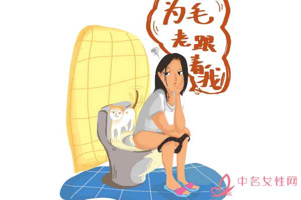 探秘日韩高清卡密网站解锁麻豆世界的无限魅力